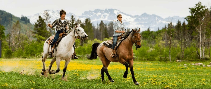 Confident plus-size woman riding Pinner a horse through a field with a smile on her face.